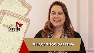 Explica Direito Filiação Socioafetiva  2019 [upl. by Aia284]