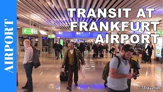 TRANSIT WALK AT FRANKFURT Airport FRA Terminal 1  Connection Flight Transfer Arriving amp Departing [upl. by Pelletier]